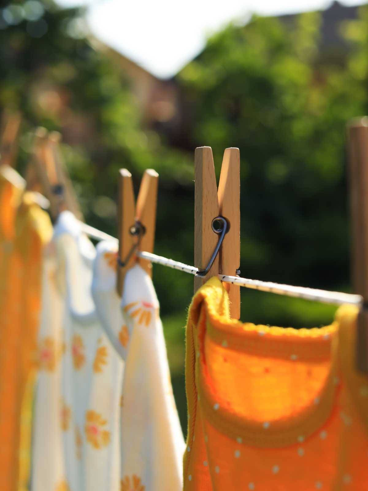 The Tiny Laundry Open Washline by Squeezing Hooks Mini Plastic Clothes Pins